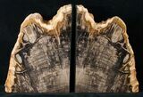 Oregon Petrified Wood Bookends - Oak #16892-2